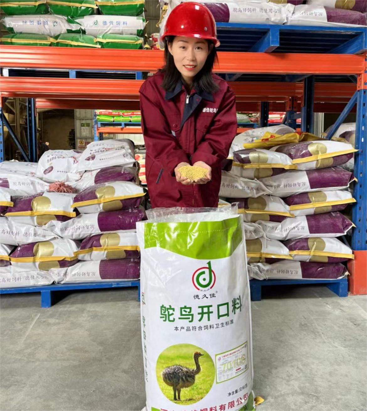 創(chuàng)新領(lǐng)先的河南德佳7010S飼料，讓您的小鴕鳥健康成長無憂慮！